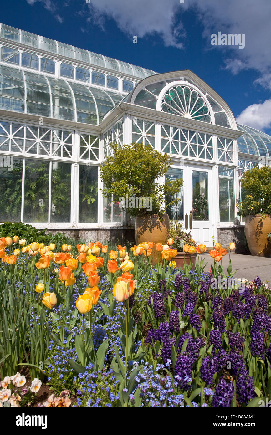 Seattle, WA: Volunteer Park Conservatory mit Frühling Blumengarten und Rasen vor dem Haus Stockfoto