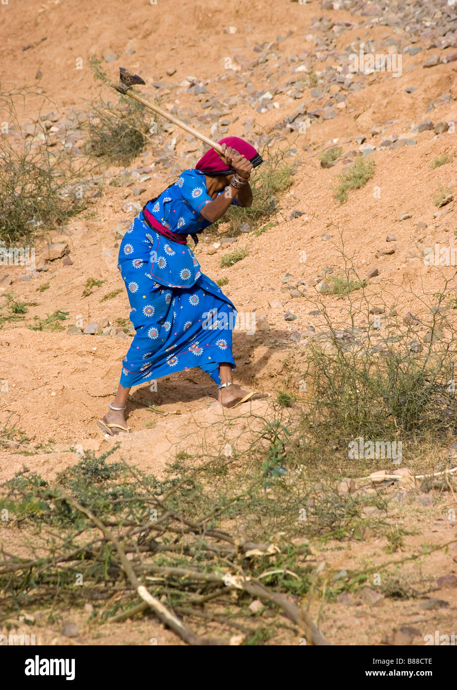 Dorf-Frau arbeitet im Bereich Rajasthan Indien Stockfoto