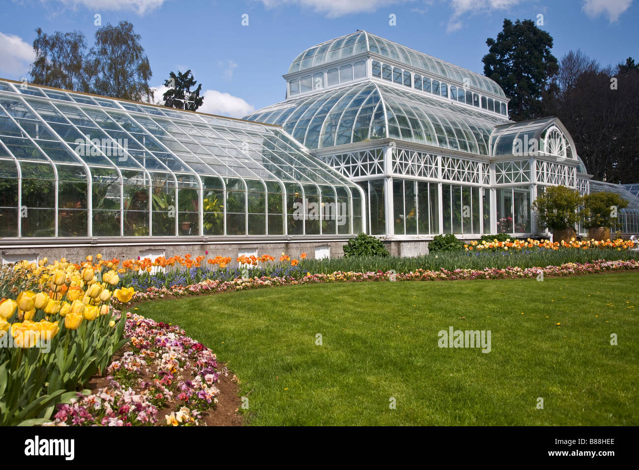 Seattle, WA: Volunteer Park Conservatory mit Frühling Blumengarten und Rasen vor dem Haus Stockfoto