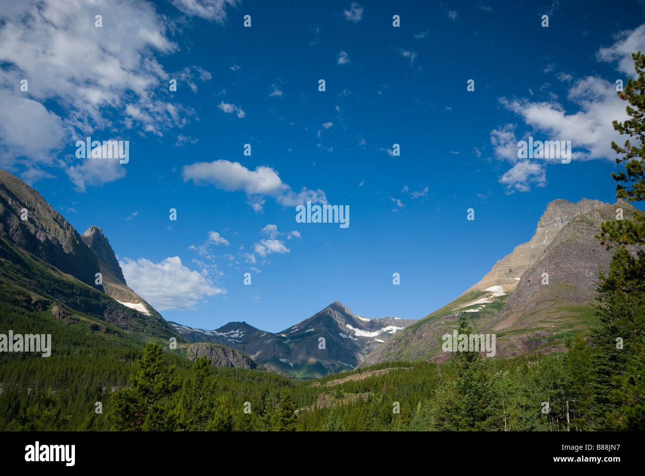 Weitwinkelaufnahme mit Wald und Bäume im Vordergrund und die Berge im Hintergrund unter blauem Himmel mit flauschigen Wolken Stockfoto