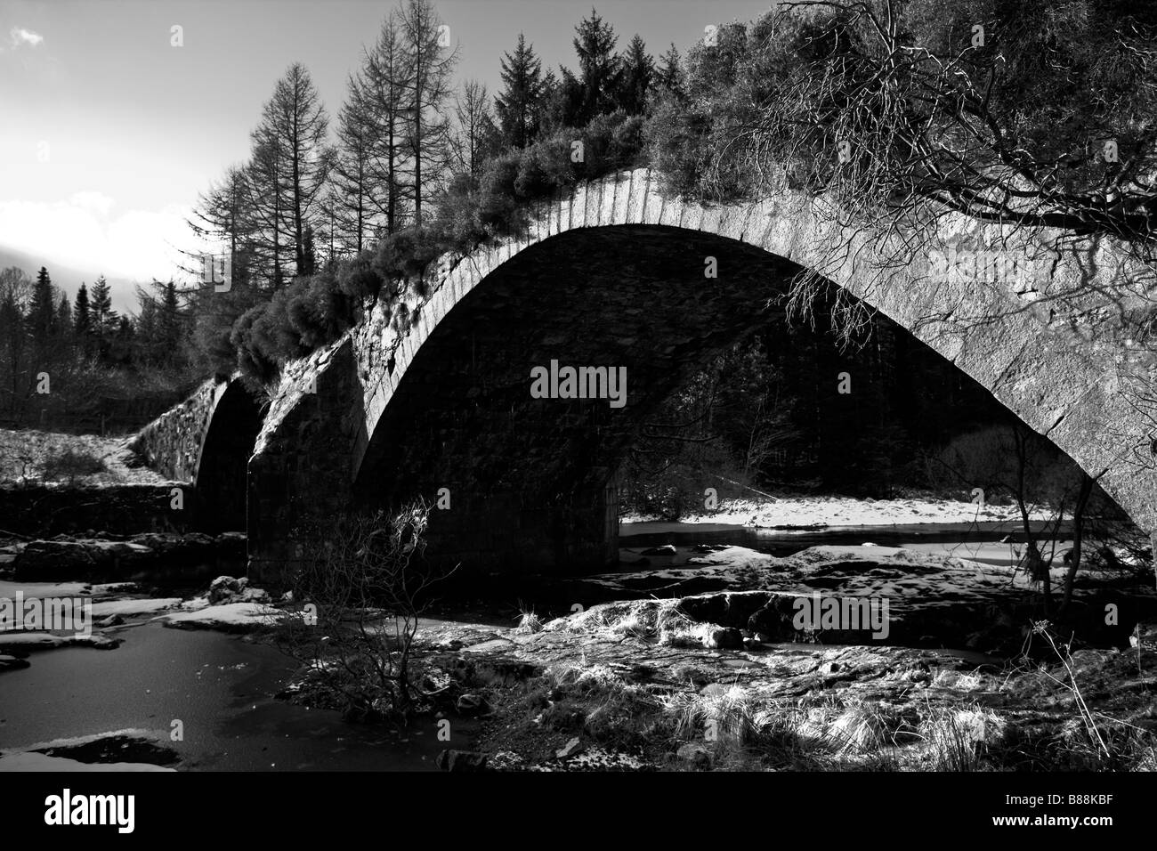 Alte ausgediente Brücke Galloway Waldpark Dumfries and Galloway, Schottland Stockfoto