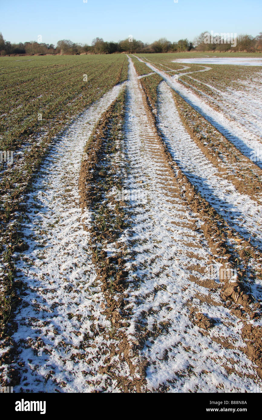 Eis Schnee Feld Ernte Winter Szene kalt Muster Ackerschlepper Spuren rut Yalding Kent uk Stockfoto