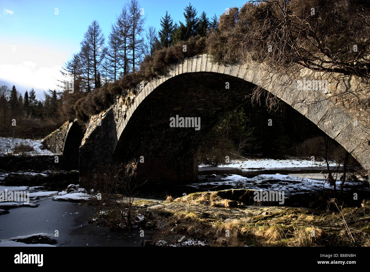 Alte ausgediente Brücke Galloway Waldpark Dumfries and Galloway, Schottland Stockfoto