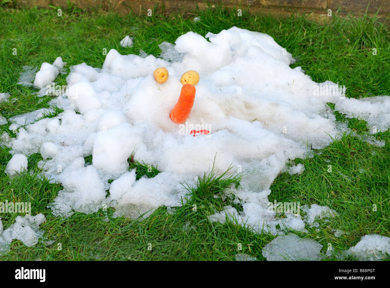 Snowman auf einem Rasen geschmolzen Stockfoto