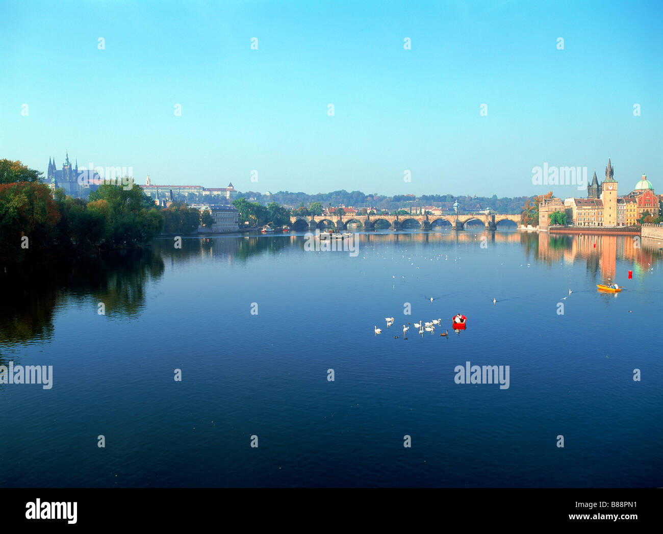 Ruderboote und Schwäne auf Moldau unter blauem Himmel in Prag mit Karlsbrücke und die alte Stadt Mühlen rechts und links der Hradschin Stockfoto