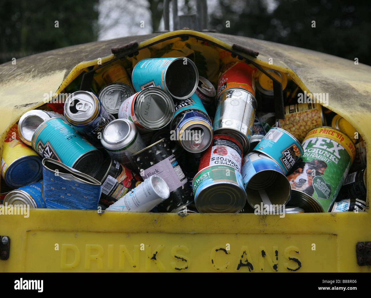 Blechdosen in Recyclingbehälter Stockfoto