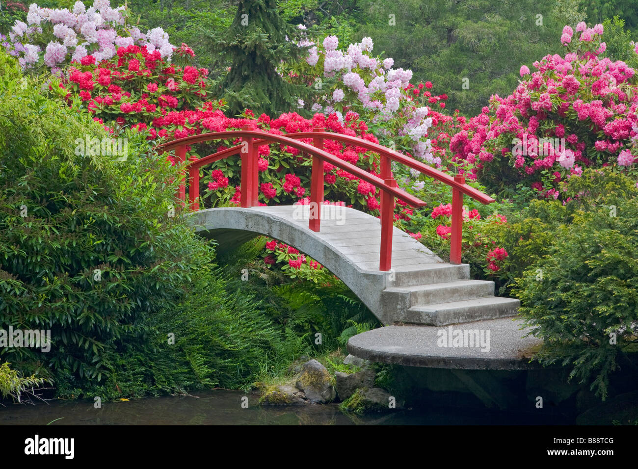 Seattle, WA: Kubota Garten Park Mond Stadtbrücke umgeben von blühenden Rhododendren Bögen über Teich am Mapes creek Stockfoto