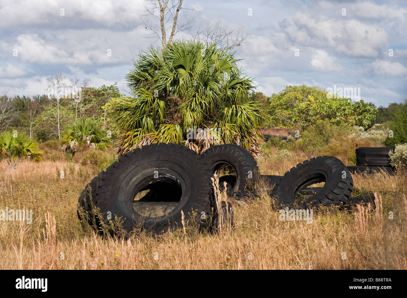 große LKW-Reifen im Feld North Florida entsorgt Stockfoto