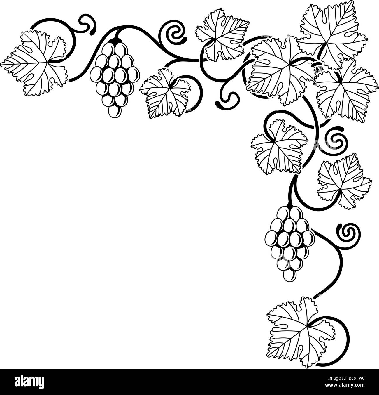 Ein Weinrebe Ecke Hintergrund design Element ideal für Design im Zusammenhang mit Wein oder mit einer mediterranen Stil Stockfoto
