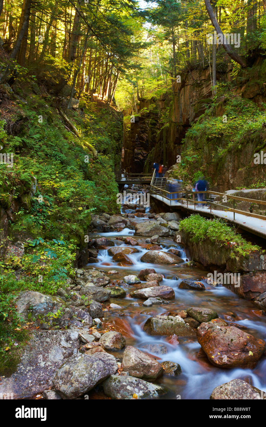 Eine Szene bilden die Flume Gorge im Franconia Notch State Park, New Hampshire, USA Stockfoto