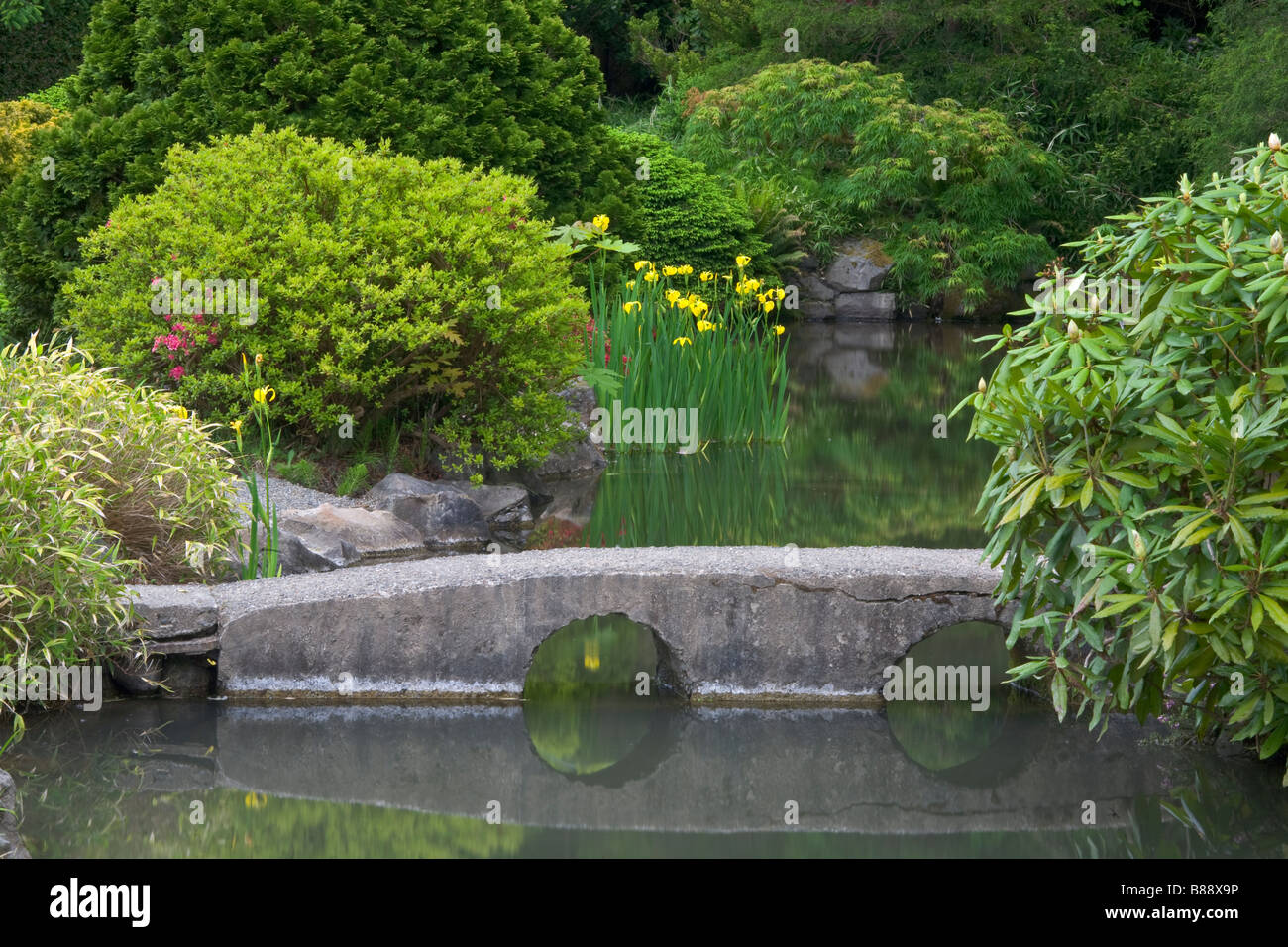 Seattle, WA: Kubota Gartenstadt Parken ein Stein Brücke überspannt einen Teich im japanischen Garten Stockfoto