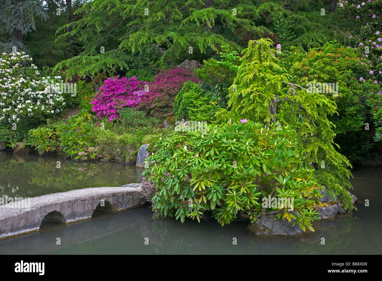 Seattle WA Kubota Gartenstadt Parken ein Stein Brücke überspannt einen Teich im japanischen Garten Stockfoto