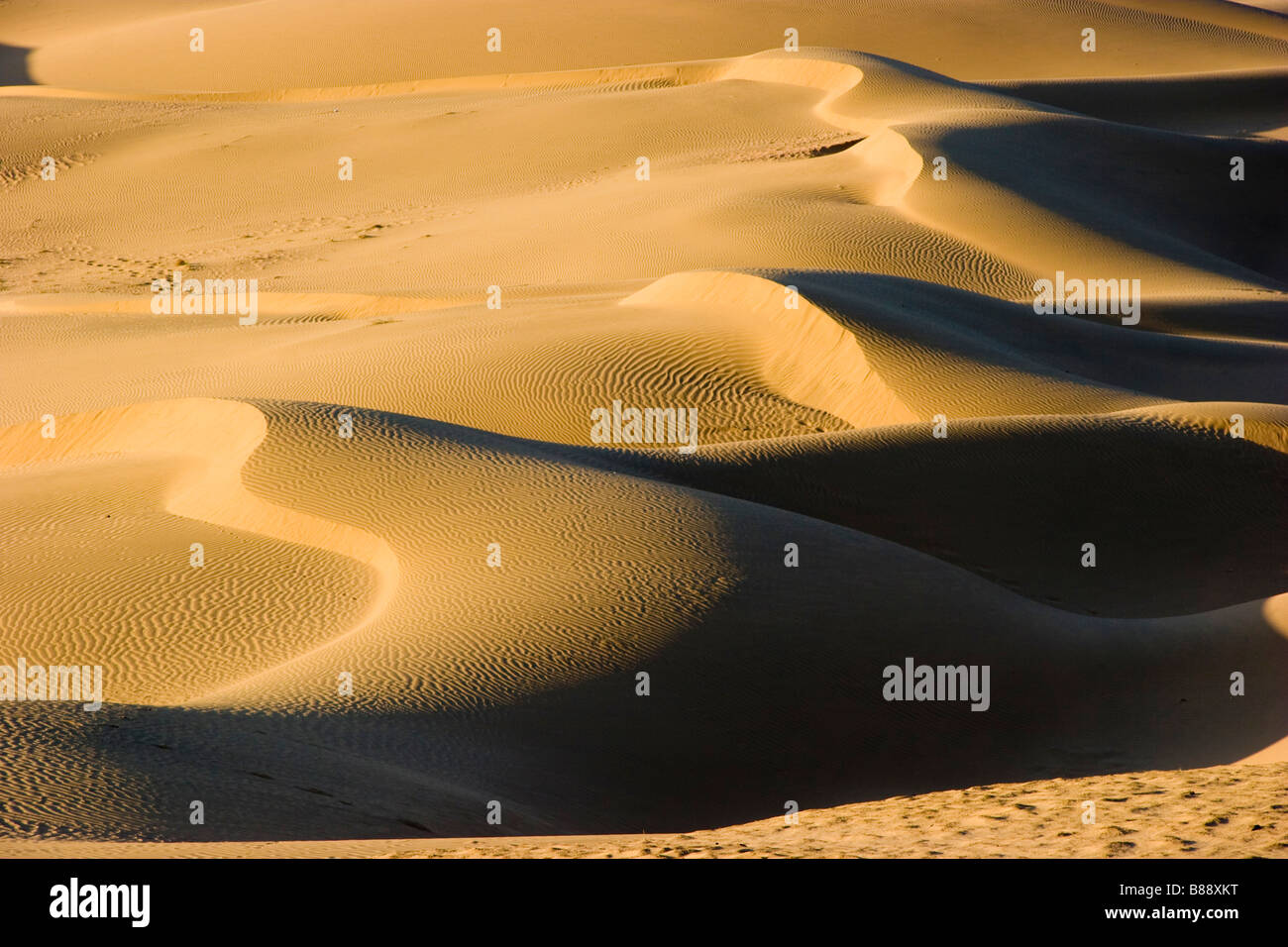 Khuri Wüste Rajasthan Indien Stockfoto