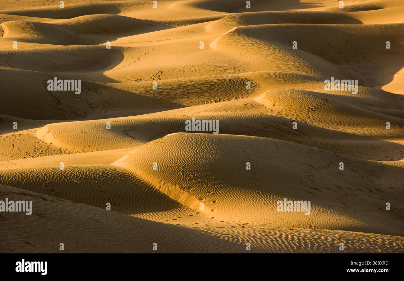 Khuri Wüste Rajasthan Indien Stockfoto