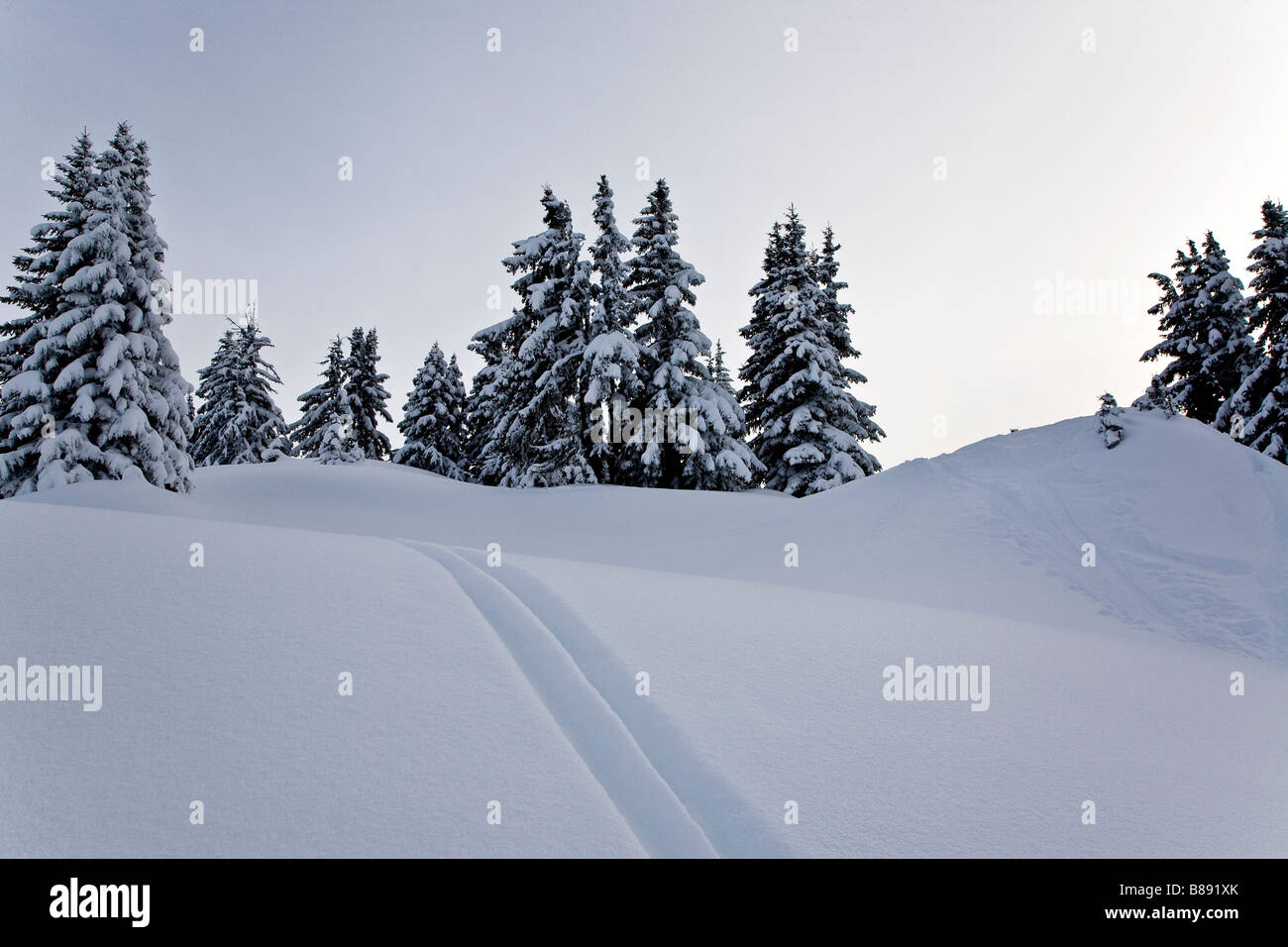 Abseits der Piste bedeckt Pisten durch Schnee alpine Bäume Stockfoto