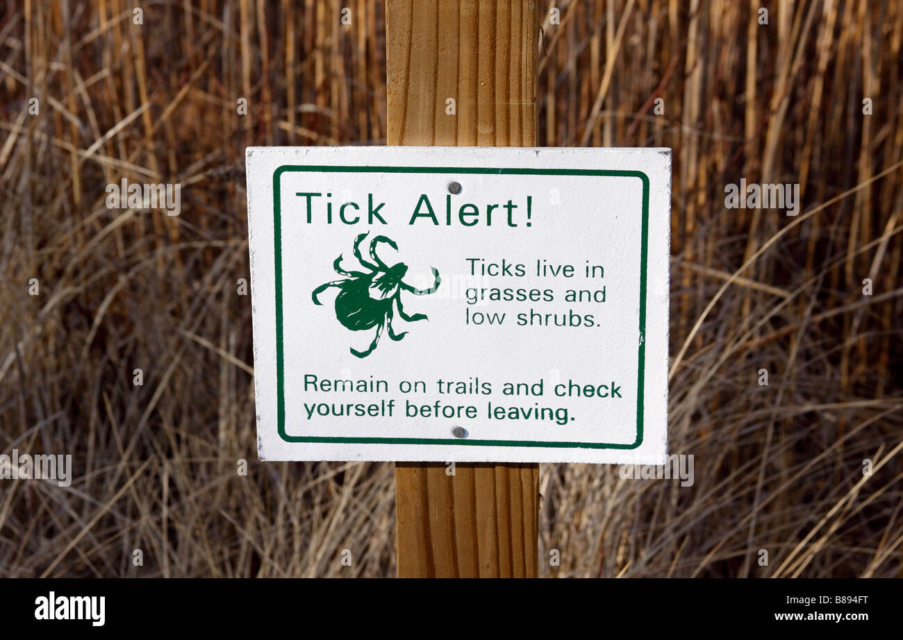 Schild Warnung vor Insekten Gefahr in Rasenflächen, Long Island, New York Stockfoto