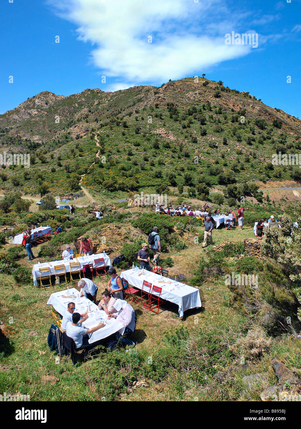 Slow Food Picknick im "The Lord Weinberge", in der Nähe von Banyuls, Frankreich. Stockfoto