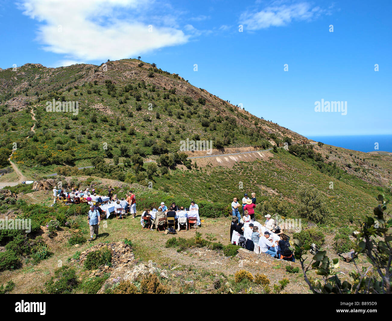 Slow Food Picknick im "The Lord Weinberge", in der Nähe von Banyuls, Frankreich. Stockfoto