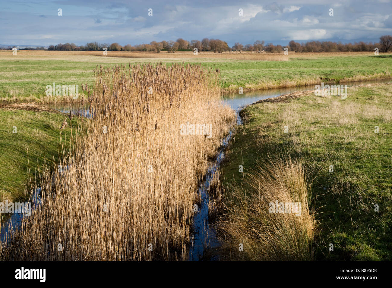 Eine Landschaftsansicht der Romney Marsh, Kent, UK Stockfoto