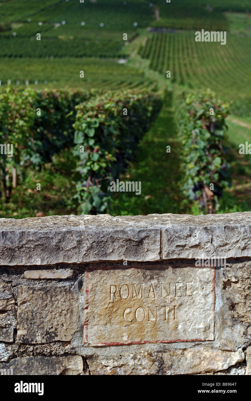 Romanee Conti Weinberg, Vosne Romanee, Cote de Nuits, Burgstall, Frankreich Stockfoto