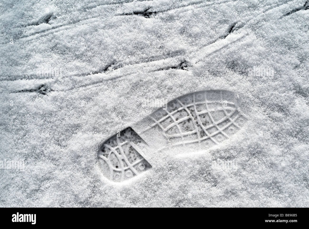 "One small Step for Man" Maul- und Klauen Drucke im Schnee im Februar Stockfoto