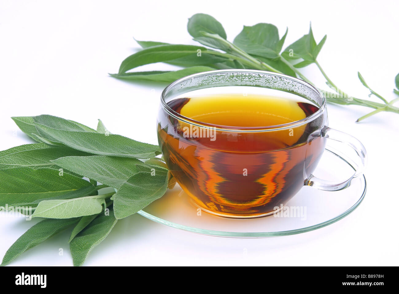 T-Stück Salbei Tee Salbei 01 Stockfoto