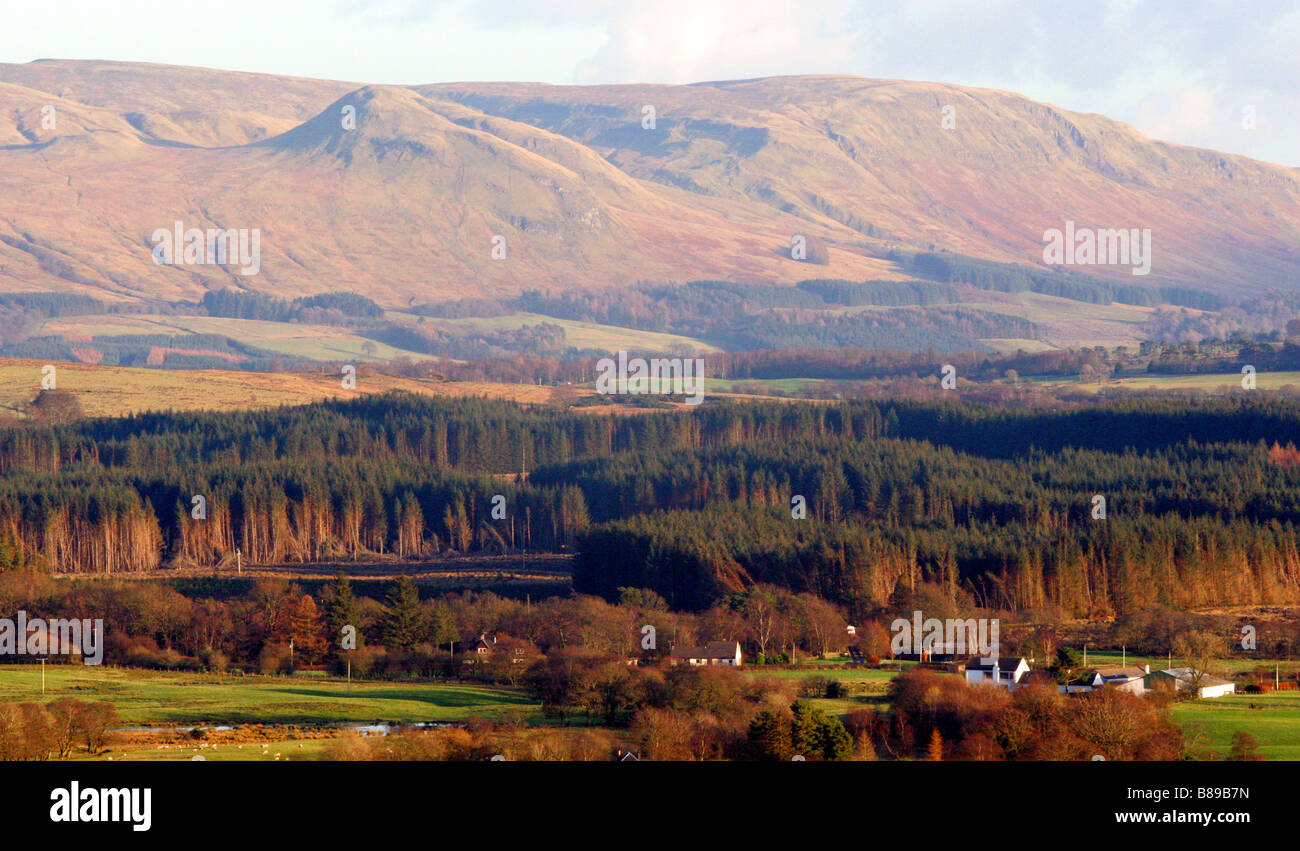 Die vulkanische Stecker Dumgoyne, 1, 400ft, in der Nähe von Loch Lomond, am Rande des Queen Elizabeth National Park, Schottland, Großbritannien. Stockfoto