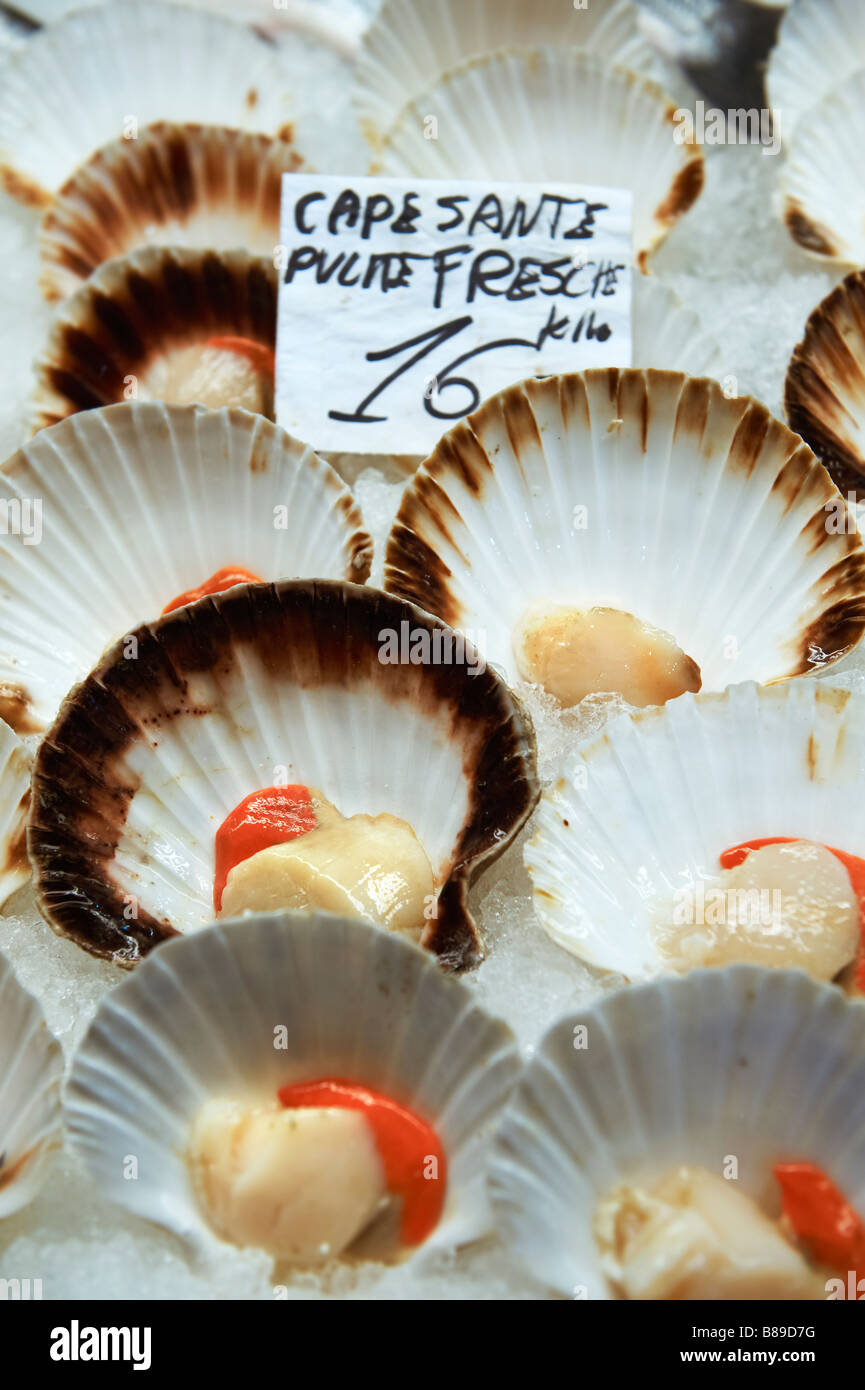 Frische Jakobsmuscheln - Venedig Rialto Fischmarkt Stockfoto