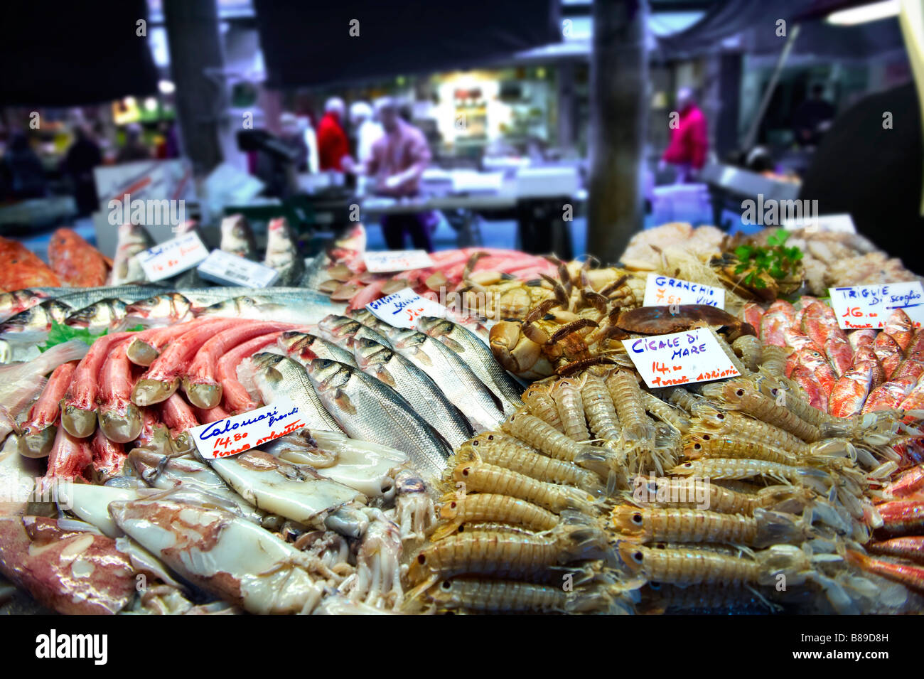 Stall - Venedig Rialto Fischmarkt Fisch Stockfoto