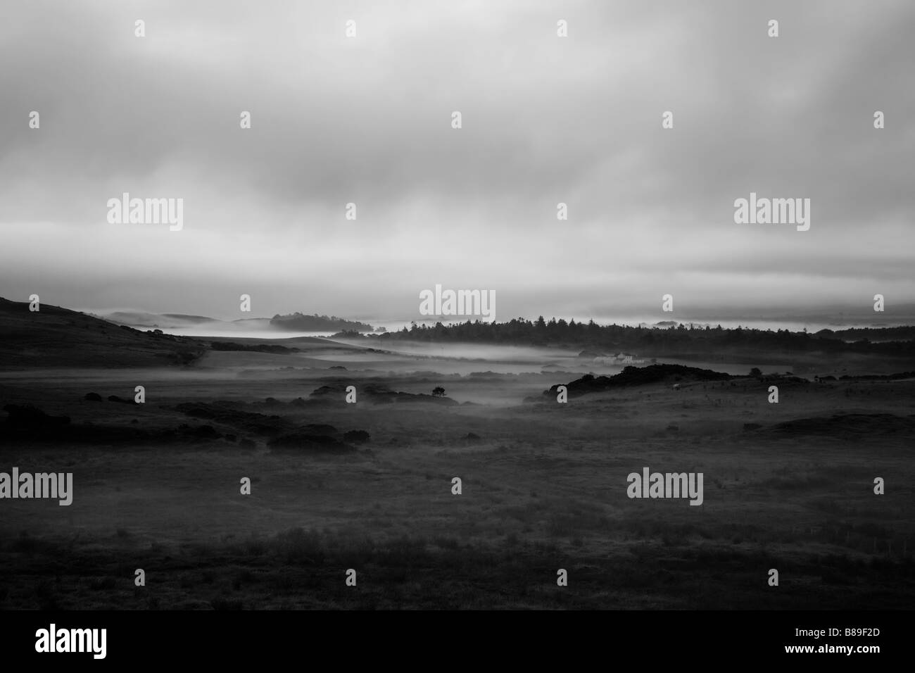 Morgen Nebel über Felder Islay Schottland Stockfoto