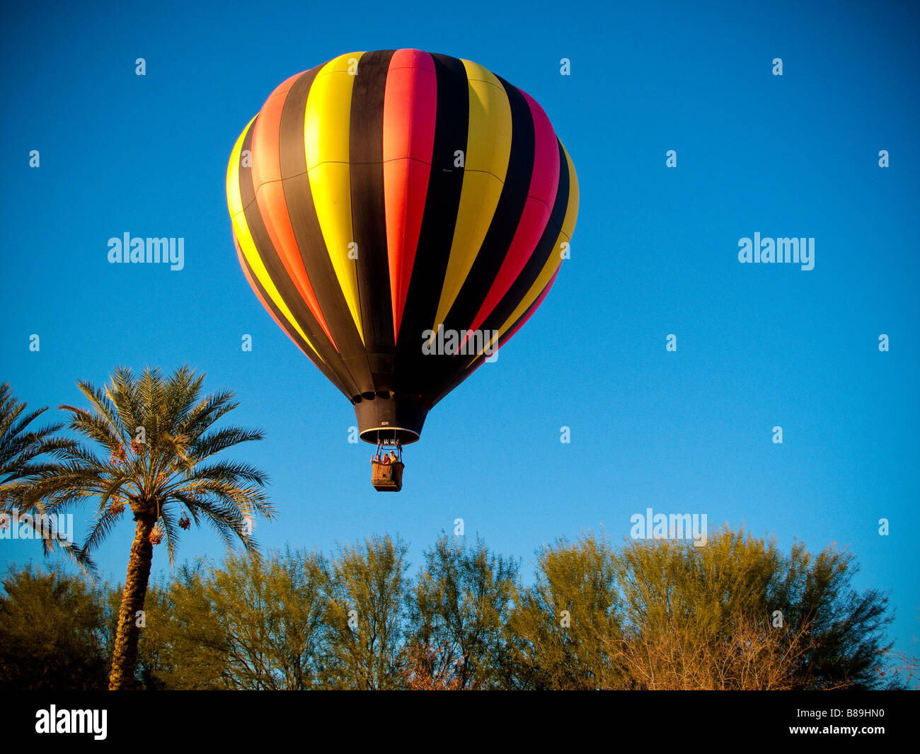 Heißluft-Ballon schwebt über Mesquite und Palmen. Stockfoto