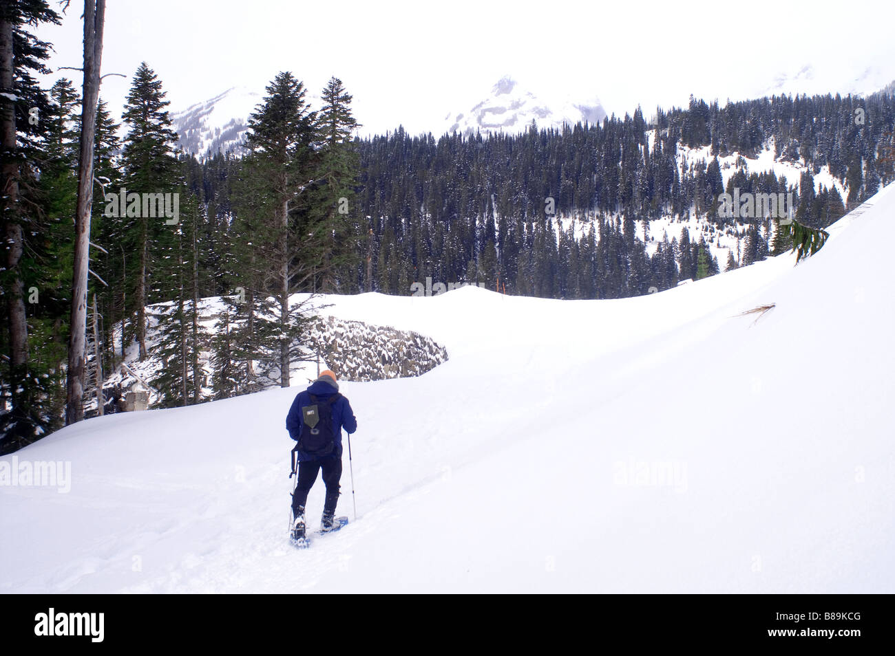 Ein Wanderer Backpacker trägt seine Schneeschuhe an der Seite des Mt. Rainier Stockfoto
