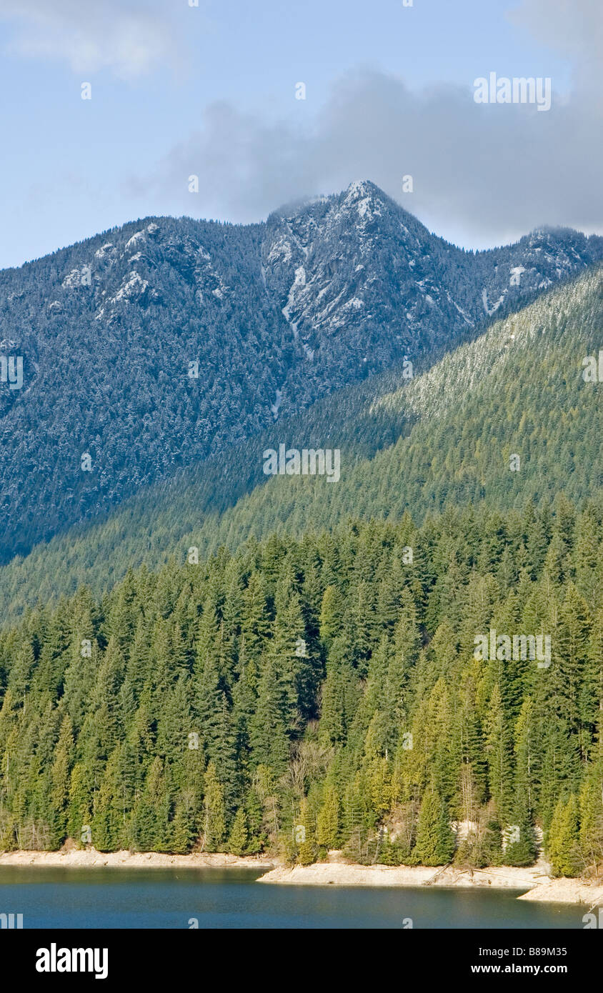 Eine unberührte Wildnis von immergrünen Bäumen und Bergen Stockfoto