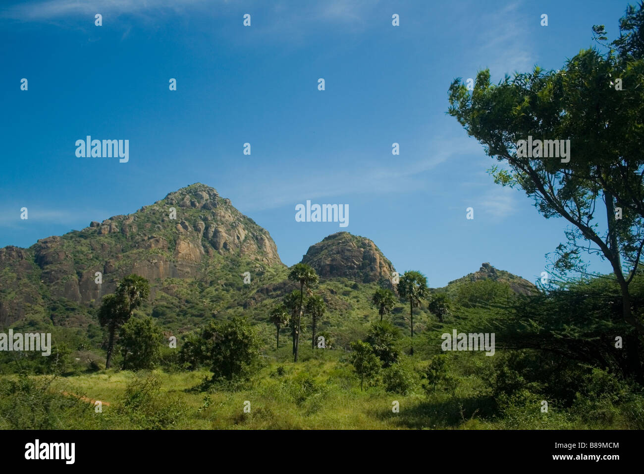 schöne Landschaft in nagercoil Stockfoto