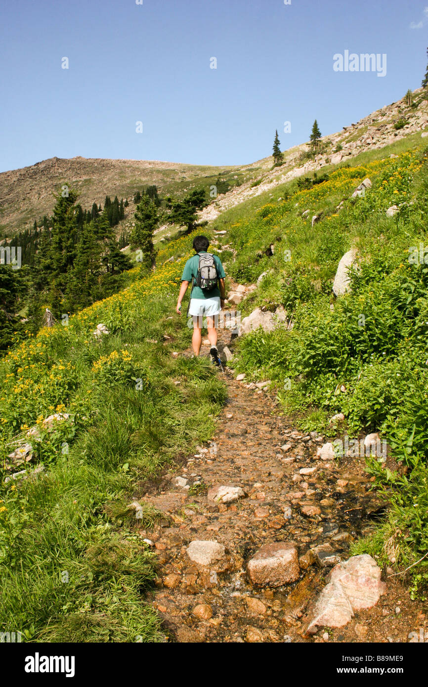 Frauen Trails hinauf und über Flattop Mountain im Rock National Park Stockfoto