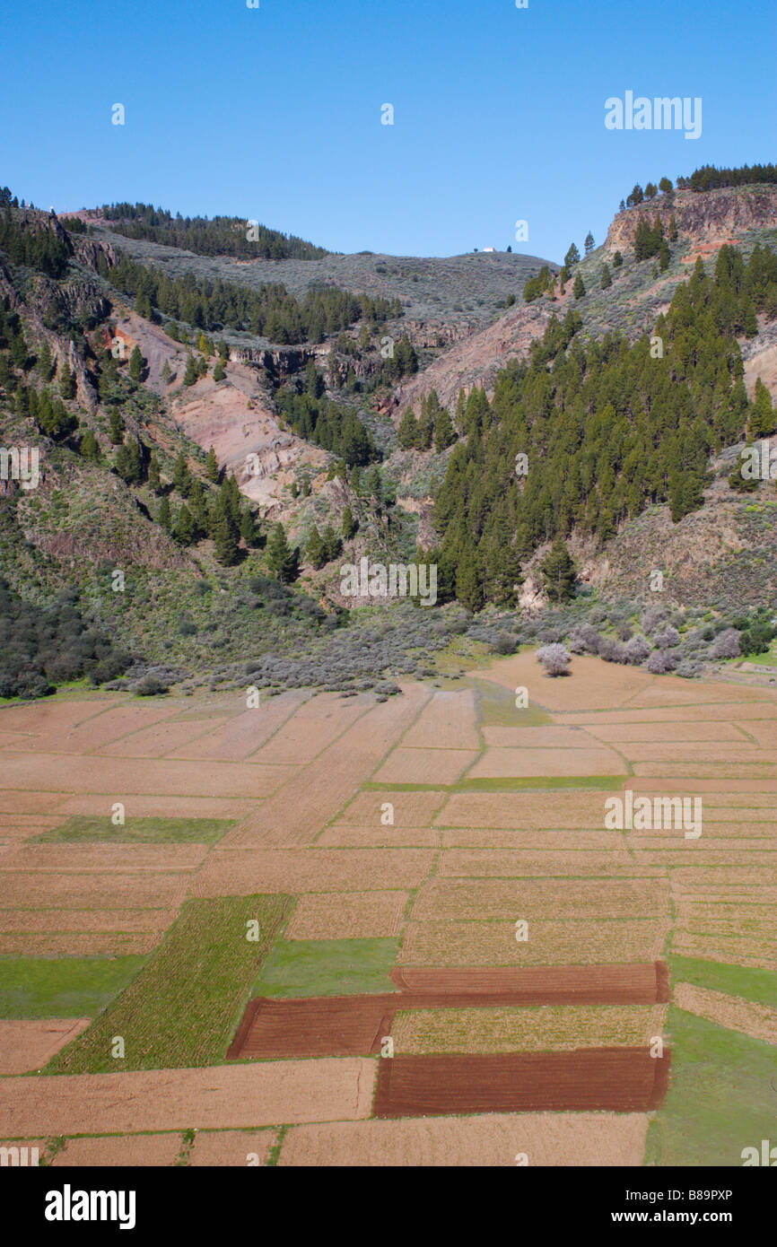 Felder im Vulkankrater auf Gran Canaria auf den Kanarischen Inseln angebaut Stockfoto