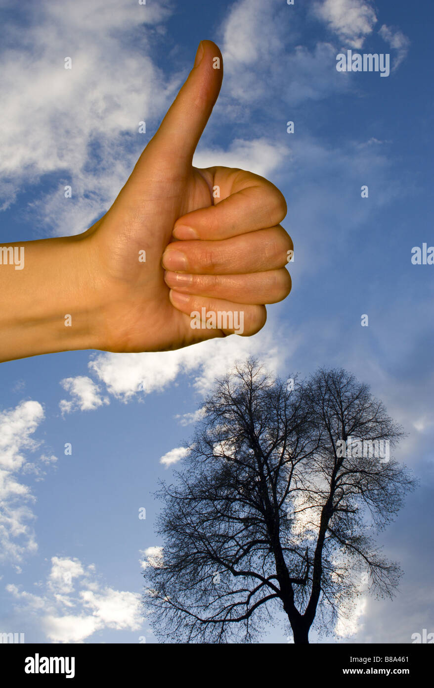 Nummer eins für Ökologie Stockfoto