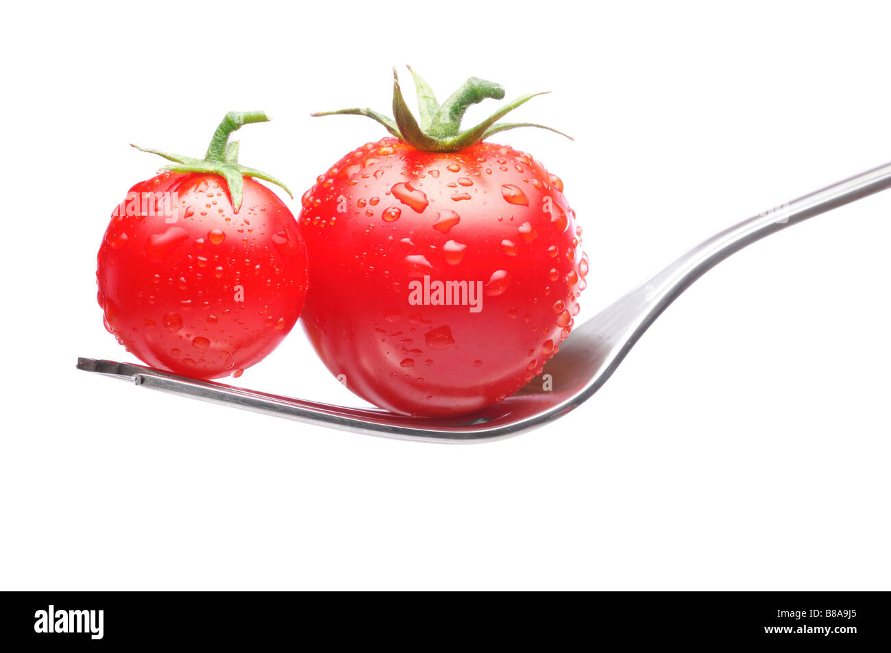 Frische Tomaten auf Gabel isoliert eine grössere und kleinere auf weißem Hintergrund-Balance-Konzept Stockfoto
