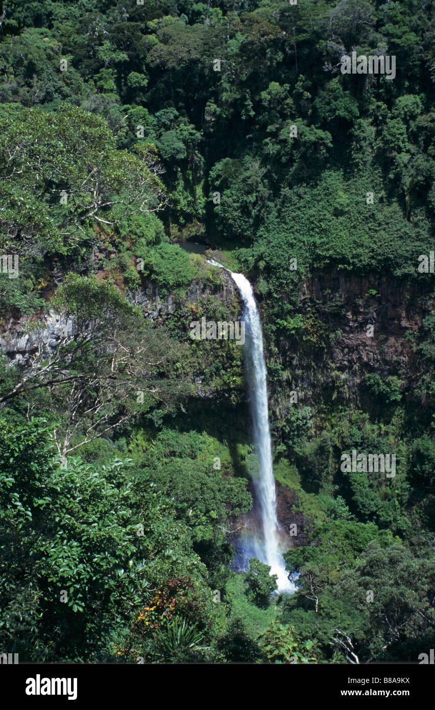 Wasserfall, La Grande Cascade, Ambre oder Montagne d'Ambre Nationalpark, nr. Diego Suarez oder Antsiranana, Madagaskar Stockfoto