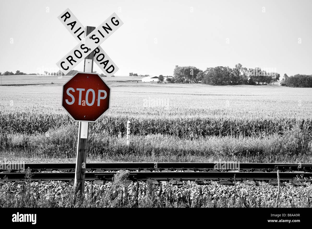 Bahnübergang mit Stop-Warnschild Stockfoto