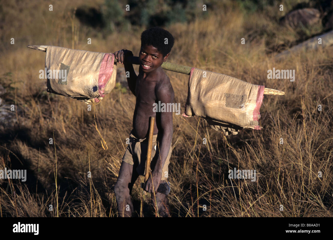 Ein Betsileo Boy Off zu holen Feuerholz im zentralen Madagaskar, in der Nähe von Ambalavao, Madagaskar Stockfoto
