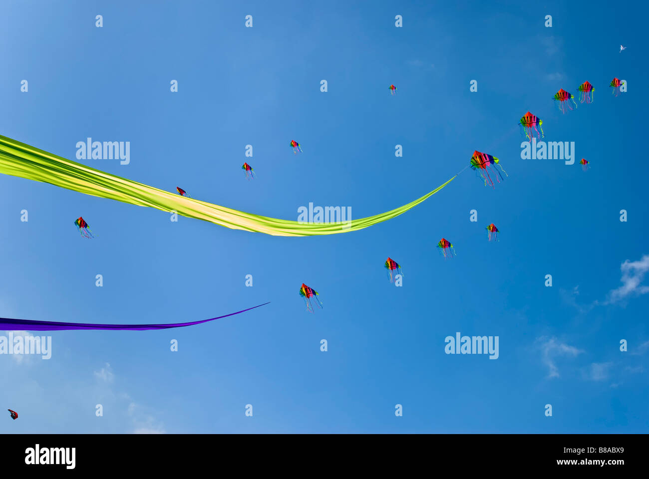 Bunte Drachen mit langen Lime grün und lila Bändern schweben dahinter, aufgenommen auf dem Bristol Kite Festival im Sommer Stockfoto