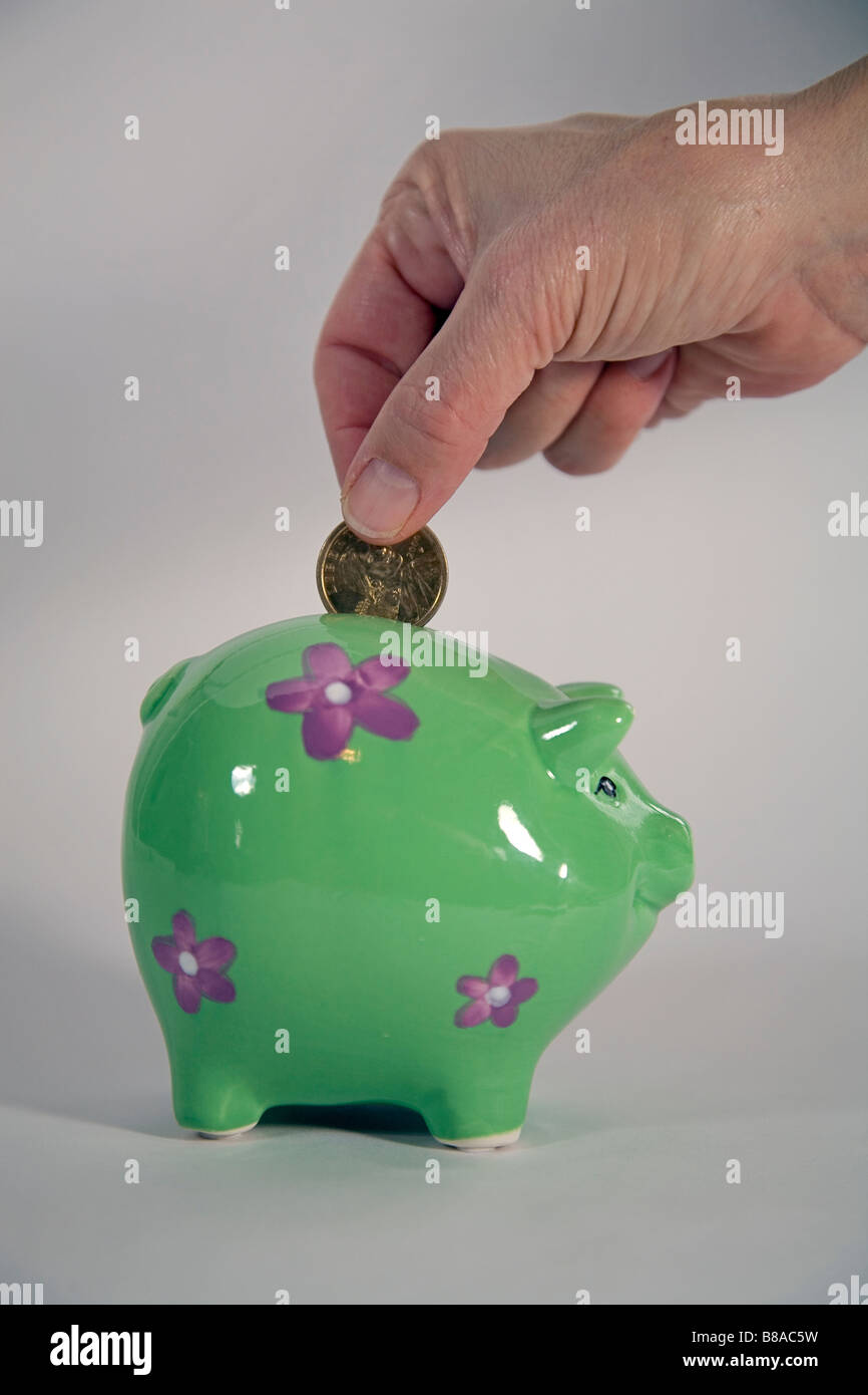 Jemand eine 1 setzen einen Dollar U S Dollar Goldmünze in ein Sparschwein Einsparungen Stockfoto