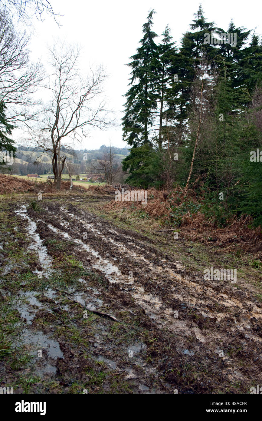 Eine schlammige track in einen englischen Park Holz Holz Burwash East Sussex an einem kalten Winter s Tag ein Zeichen für harte Zeiten voraus? Stockfoto