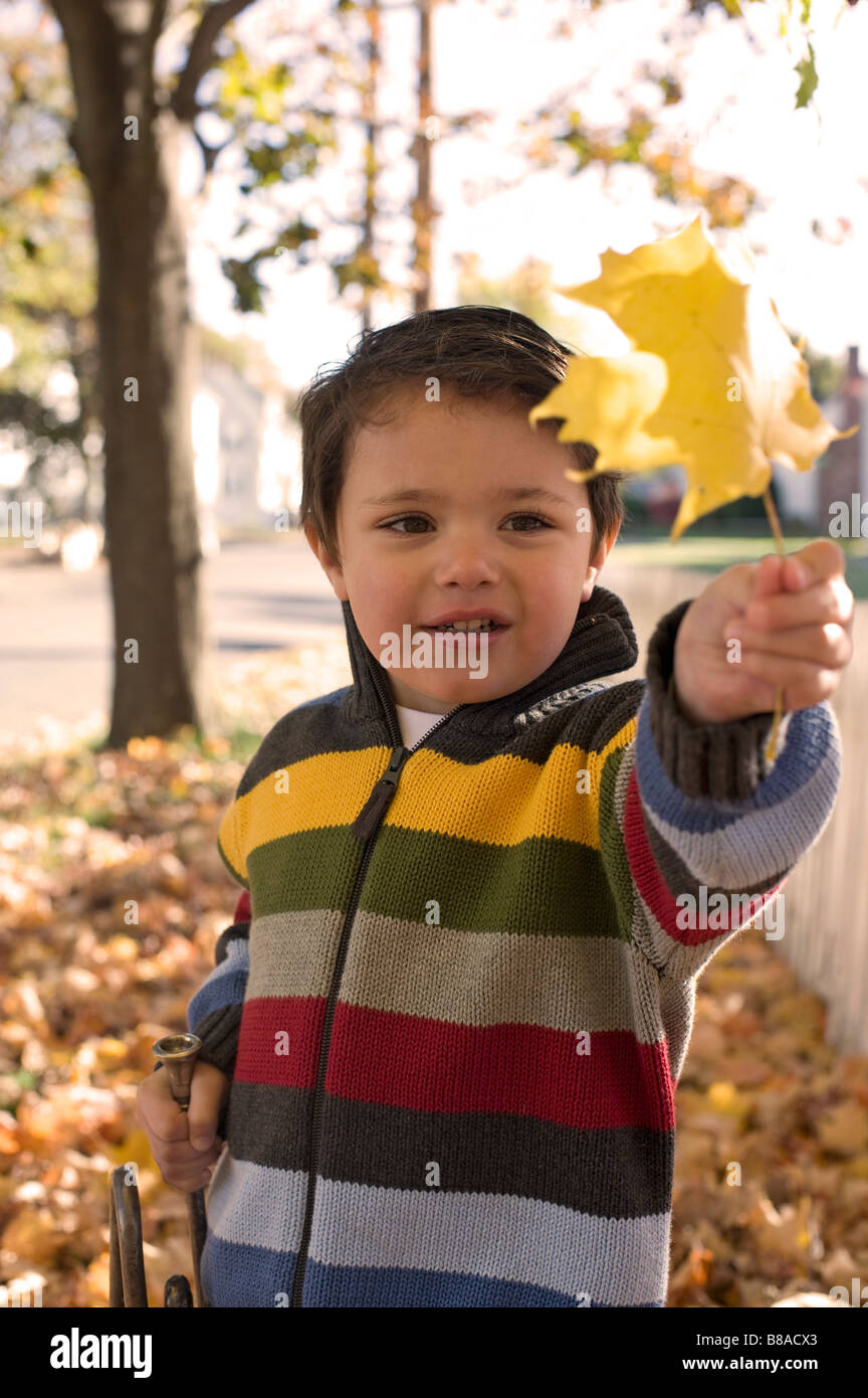 Drei Jahre alter Junge spielt außerhalb an einem Herbsttag Stockfoto