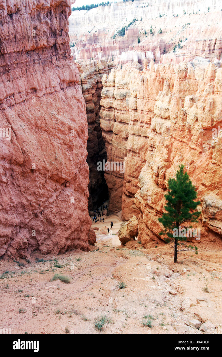 BRYCE CANYON USA Stockfoto