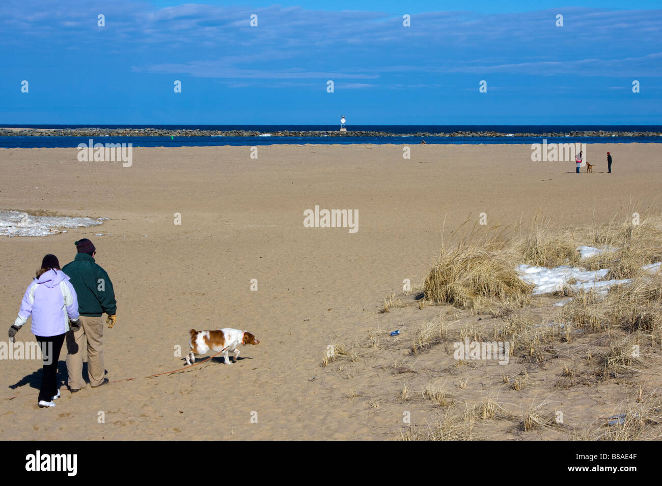 Menschen, die an einem Winternachmittag Spaziergang mit seinem Hund am Strand Stockfoto