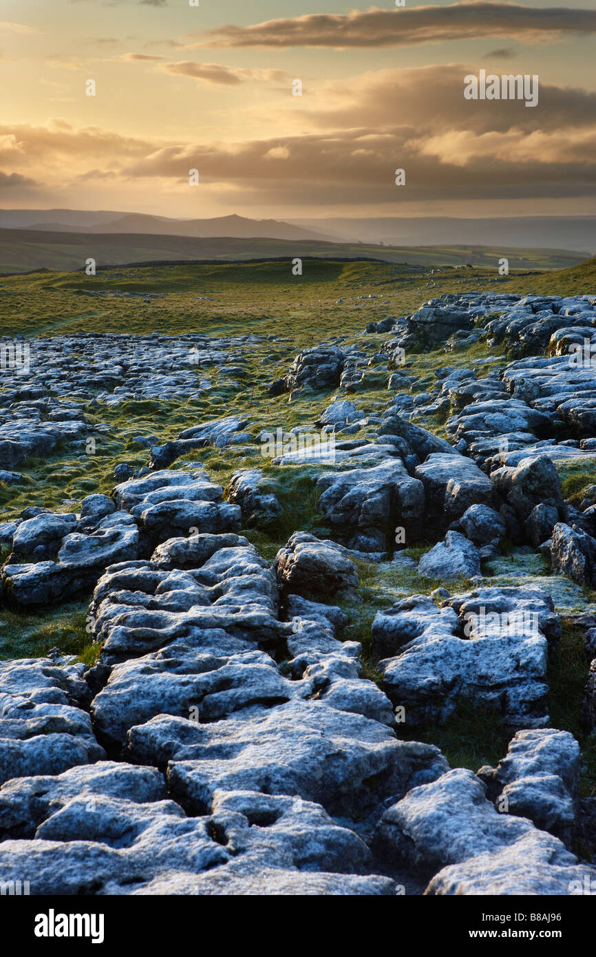 Frost auf einem Kalkstein-Pflaster bei Ing Narbe über Malham Cove, Yorkshire Dales National Park, Yorkshire, England, UK Stockfoto