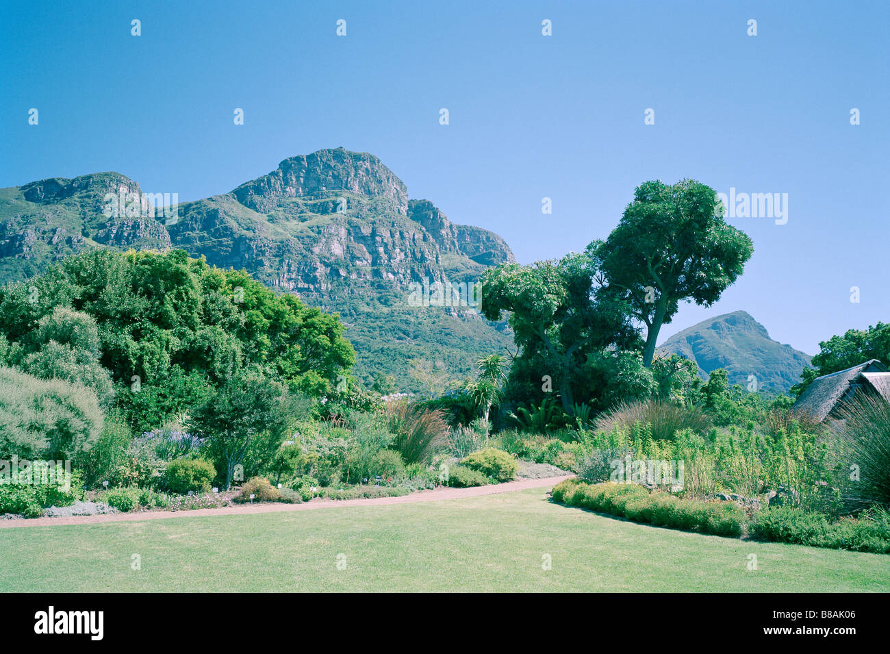 Kirstenbosch botanical gardens Fotos und Bildmaterial in hoher