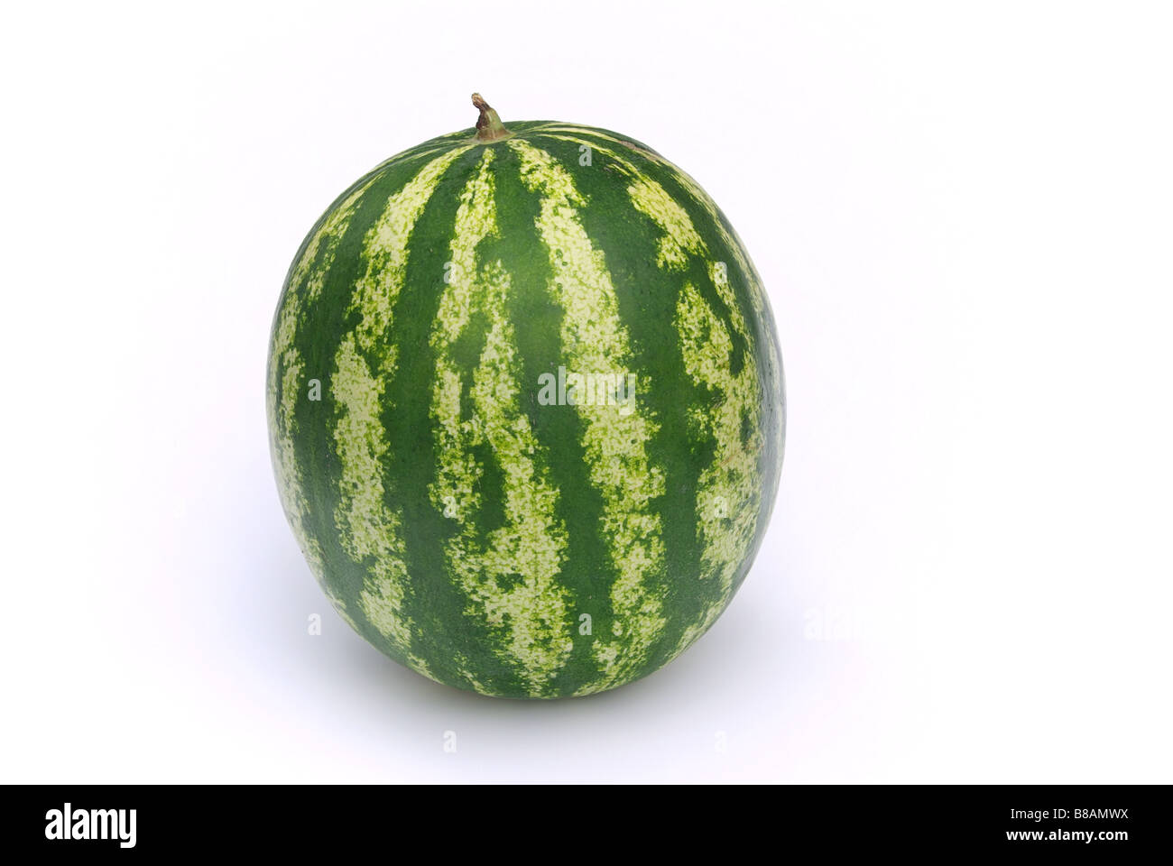 Melone Wassermelone 08 Stockfoto